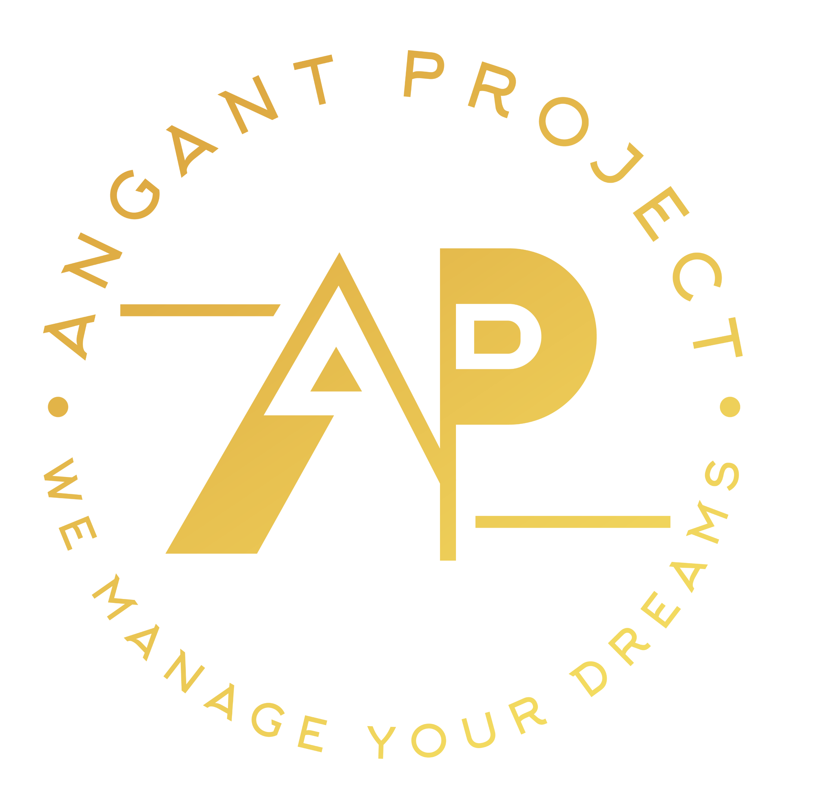 Angant Project